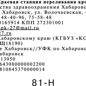 Макет 81